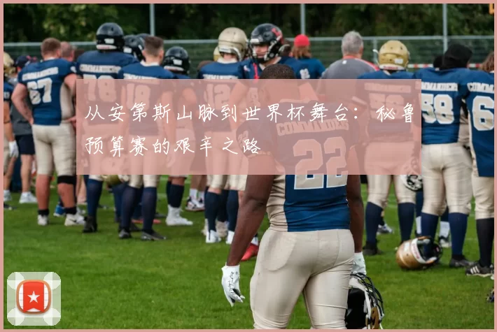 从安第斯山脉到世界杯舞台：秘鲁预算赛的艰辛之路