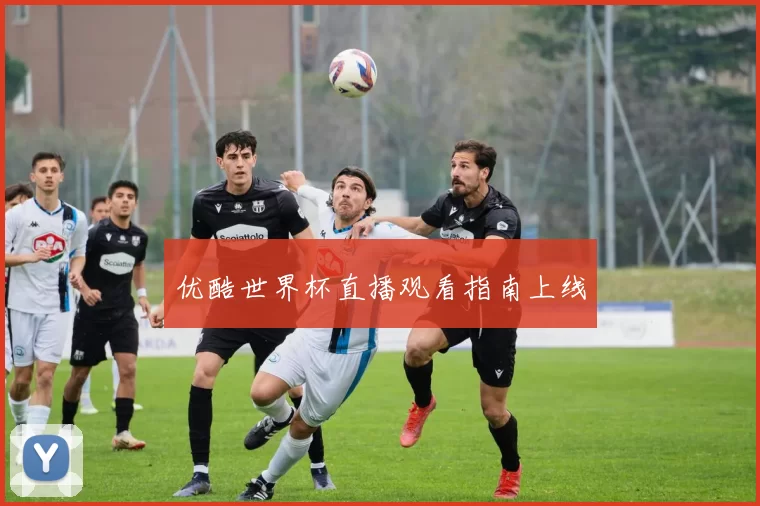 优酷世界杯直播观看指南上线
