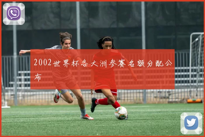 2002世界杯各大洲参赛名额分配公布
