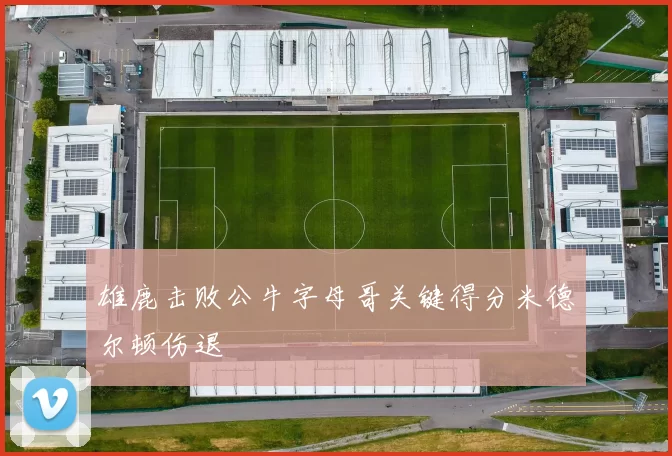 雄鹿击败公牛字母哥关键得分米德尔顿伤退