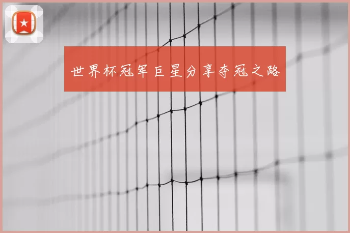 世界杯冠军巨星分享夺冠之路