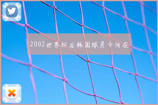 2002世界杯后韩国球员今何在