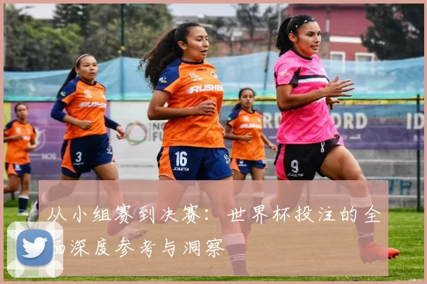从小组赛到决赛：世界杯投注的全面深度参考与洞察