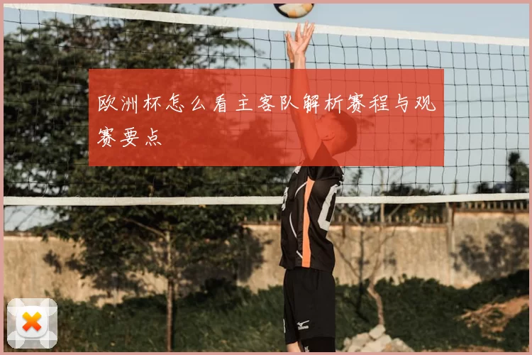 欧洲杯怎么看主客队解析赛程与观赛要点